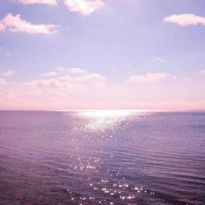 NG体育·(南宫)手机app下载