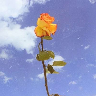 竞彩足球app官方手机app下载