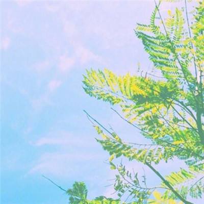 爱游戏·APP