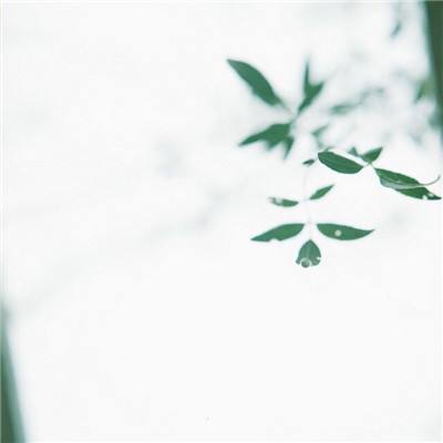 环球体育入口