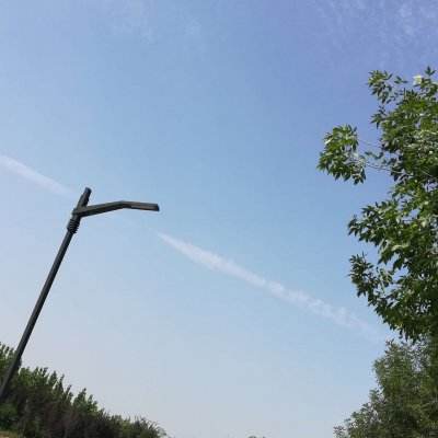365体育手机版入口